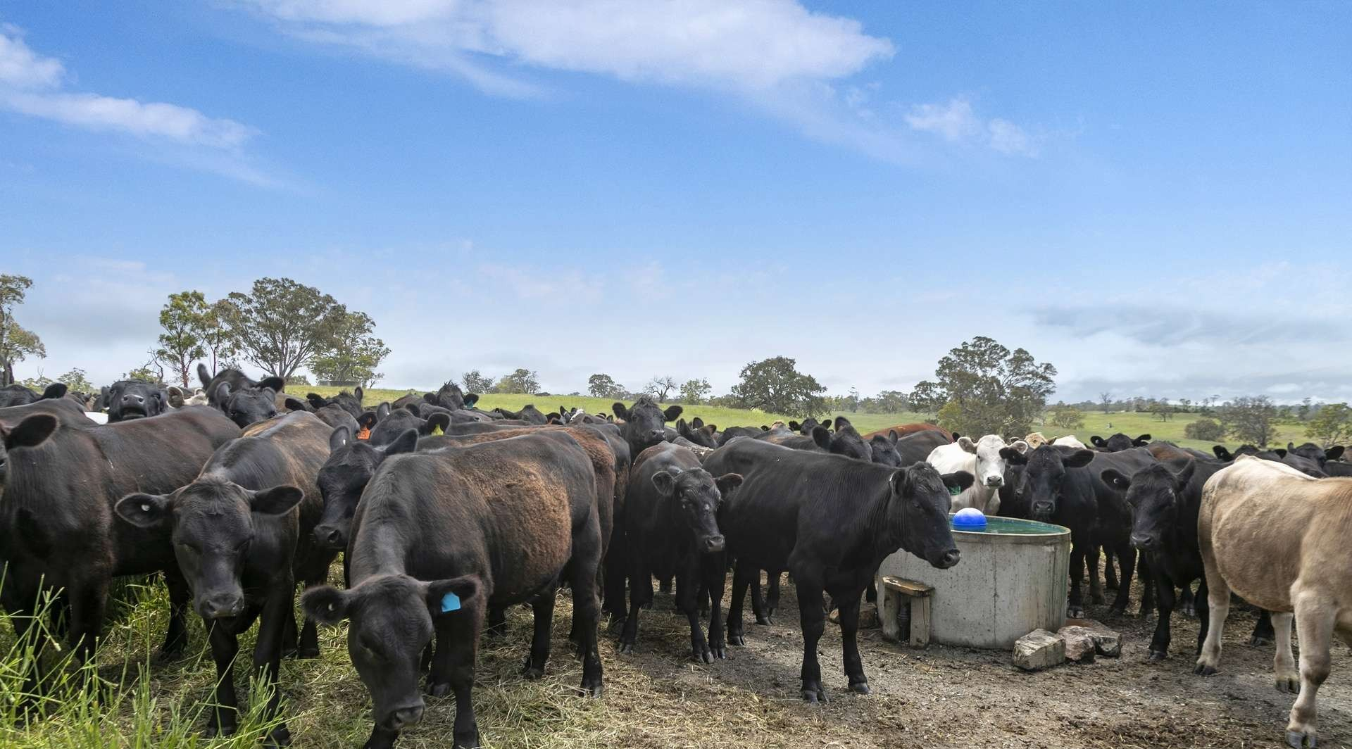 rural property for sale SA