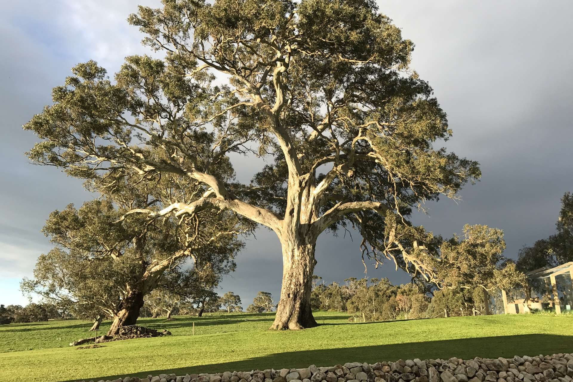 rural property for sale SA