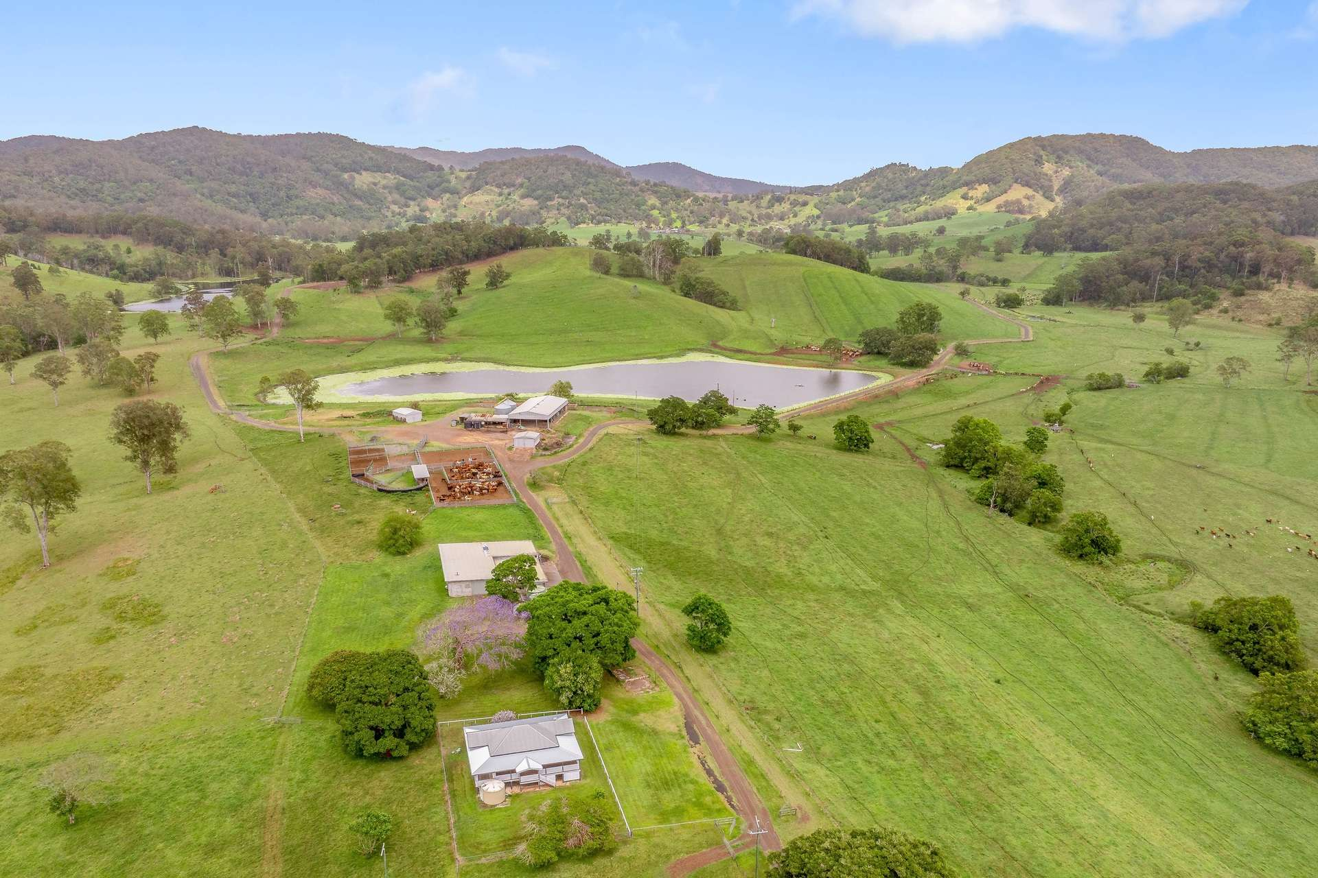 cattle property for sale QLD