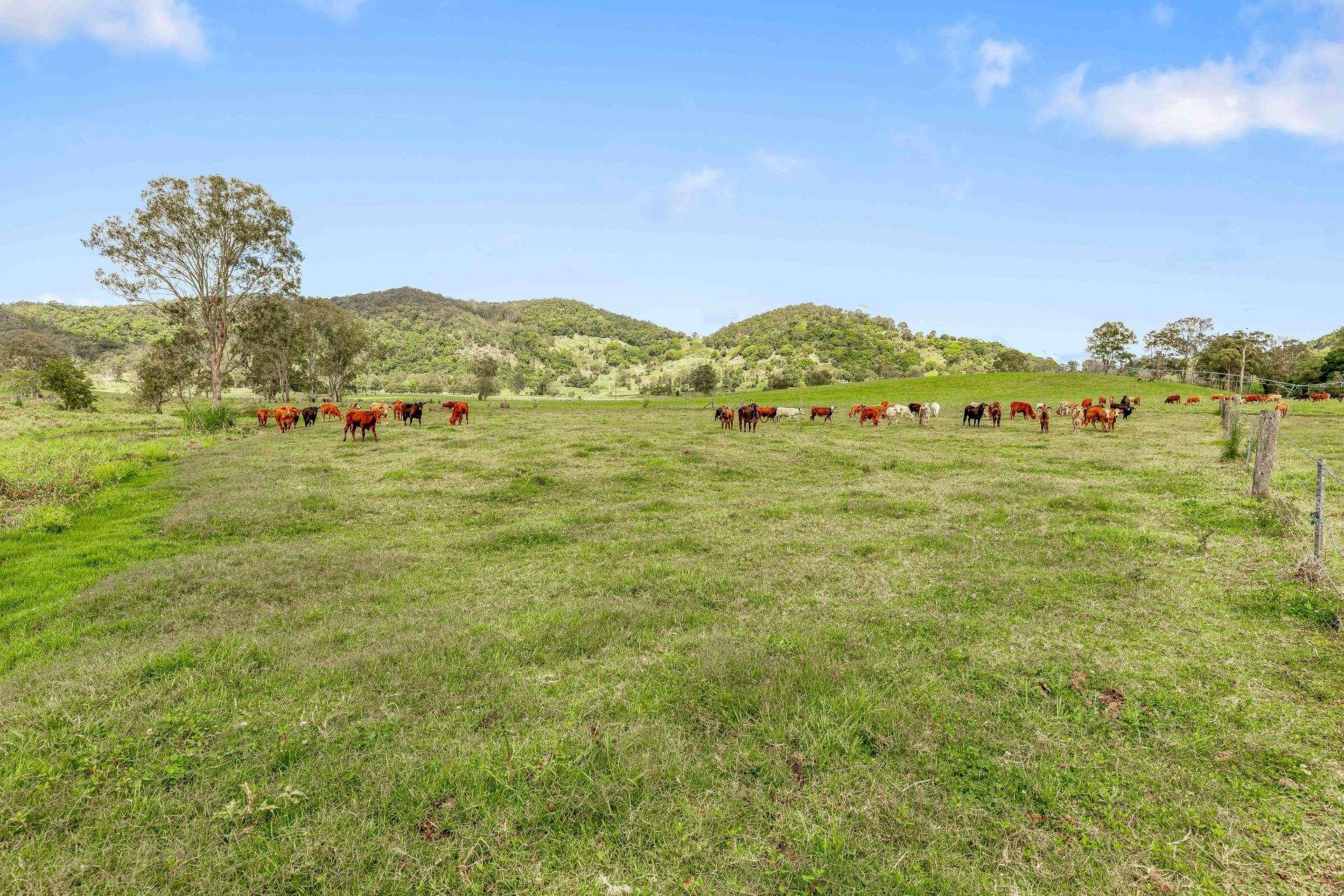 cattle property for sale QLD