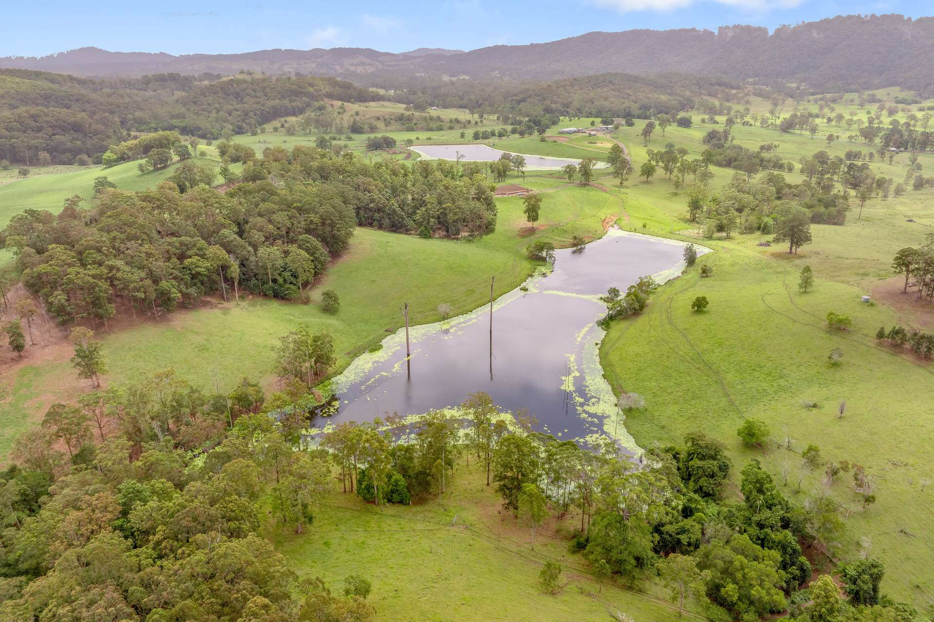 cattle property for sale QLD