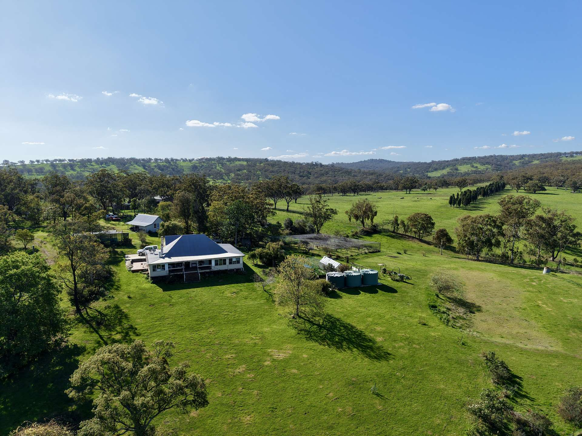 cattle property for sale NSW