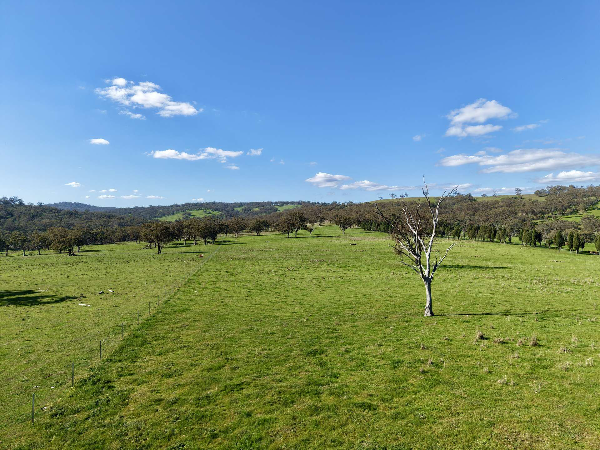 cattle property for sale NSW