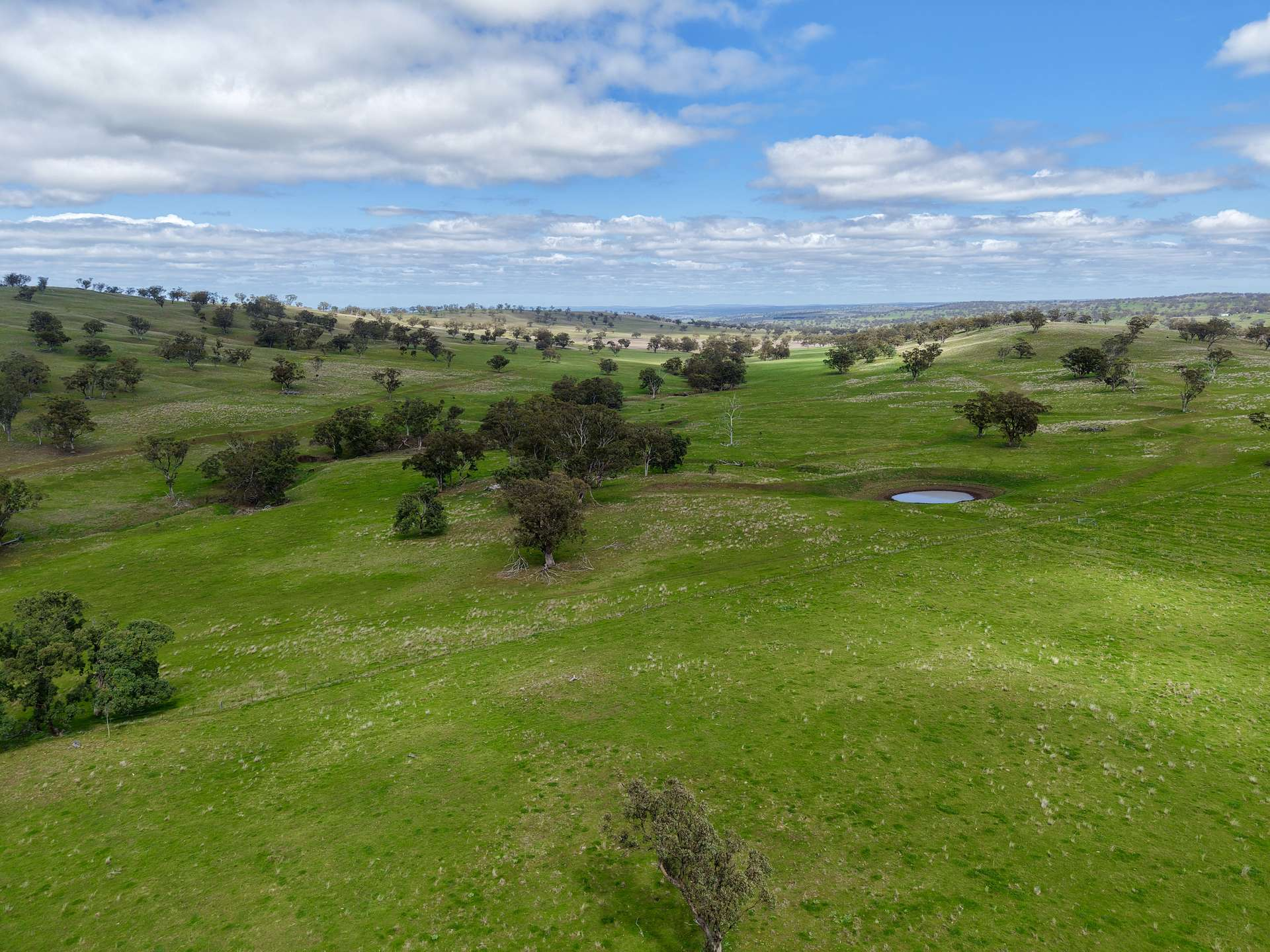 cattle property for sale NSW
