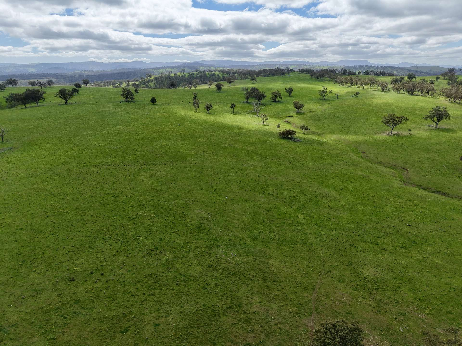 cattle property for sale NSW