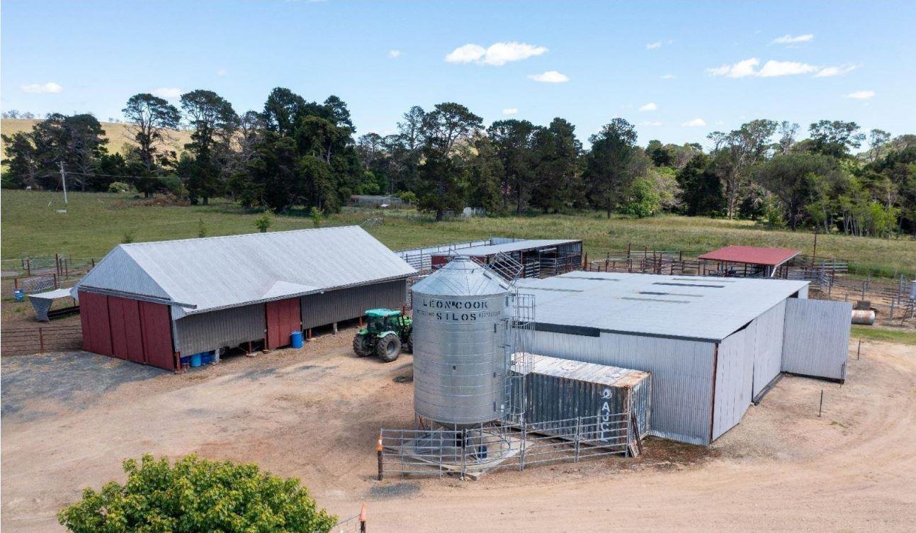 Cattle Property For Sale Armidale NSW