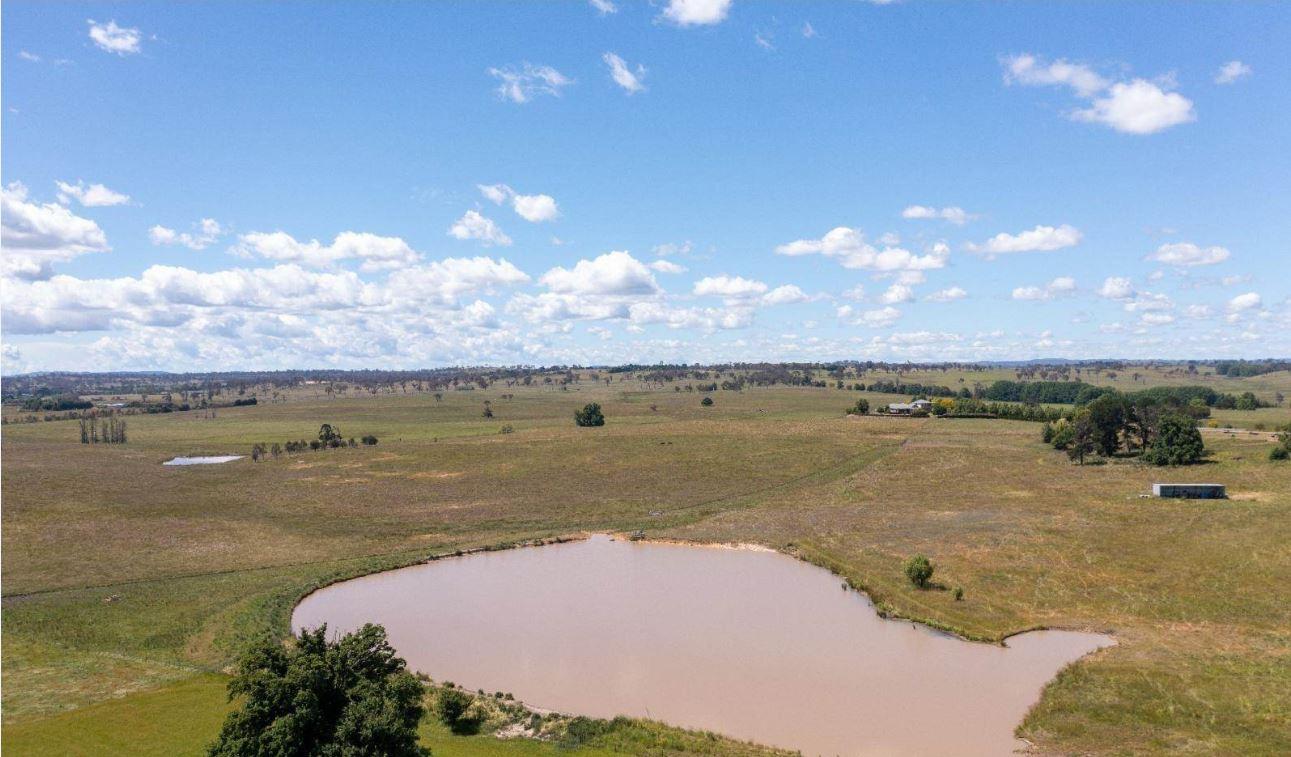 Cattle Property For Sale Armidale NSW