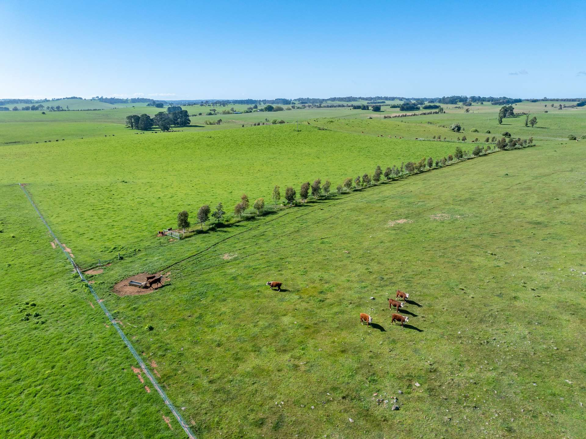 rural property for sale NSW