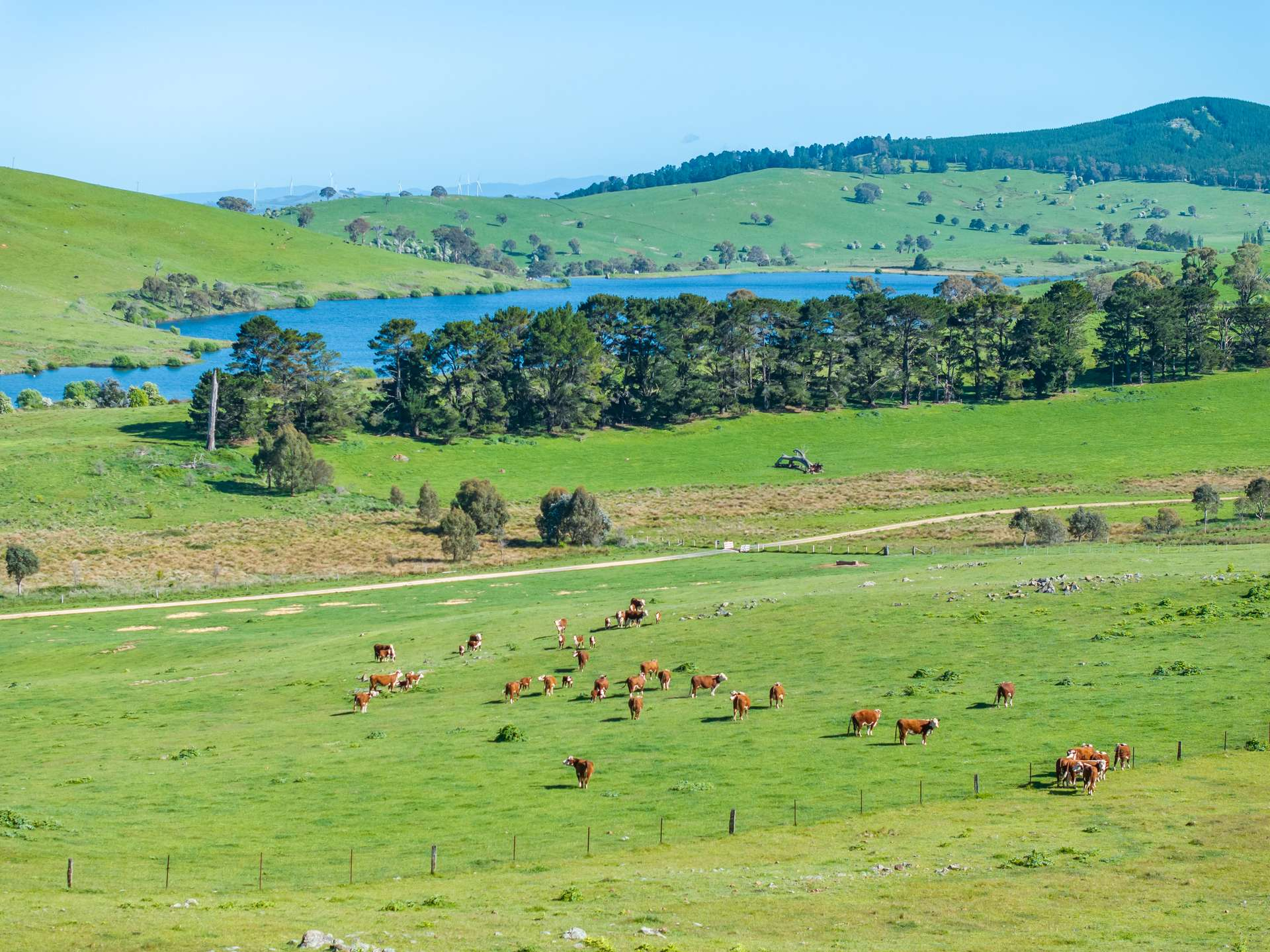 rural property for sale NSW