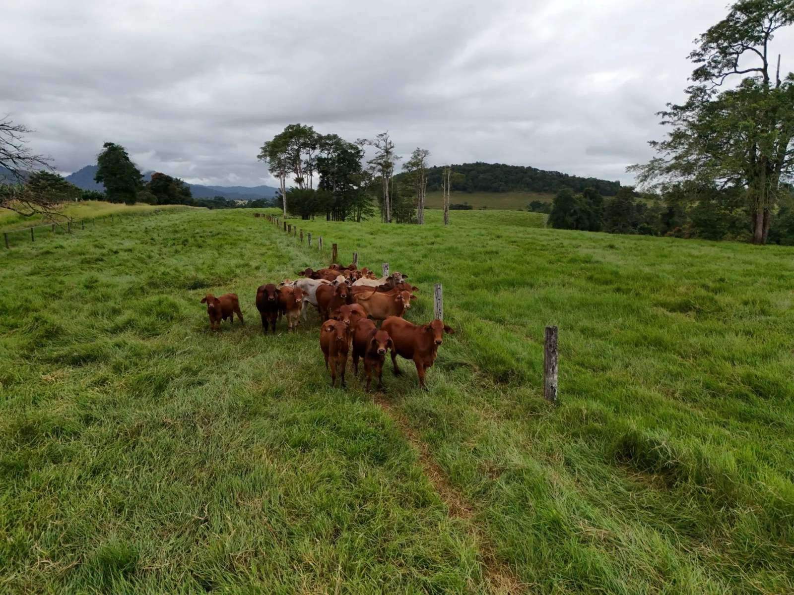 rural property for sale QLD