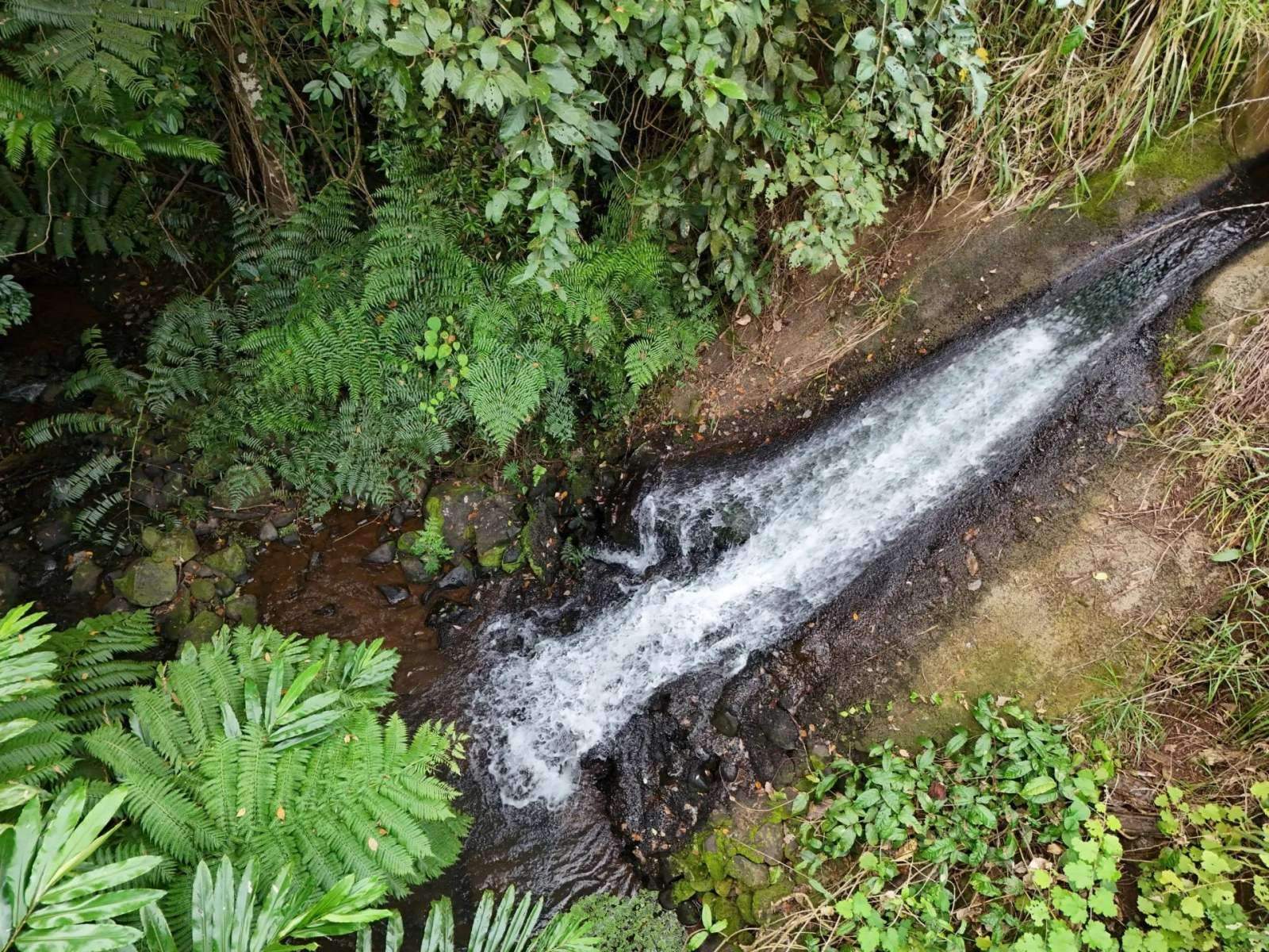 rural property for sale QLD