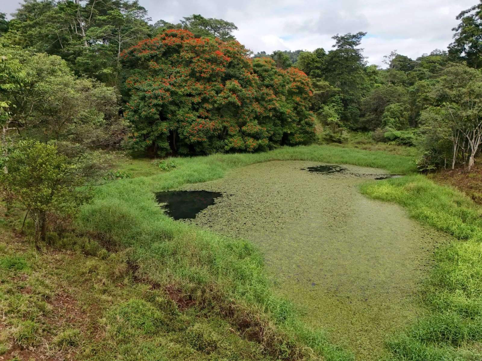 rural property for sale QLD