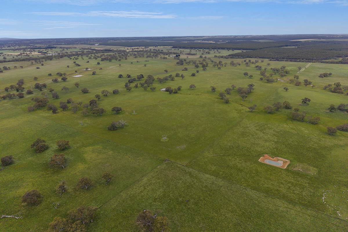 Cattle Property For Sale VIC