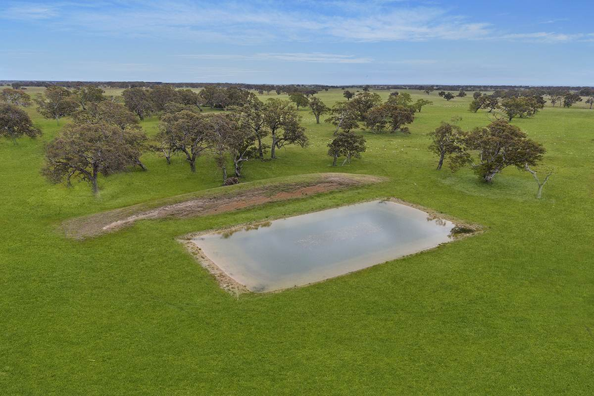 Cattle Property For Sale VIC