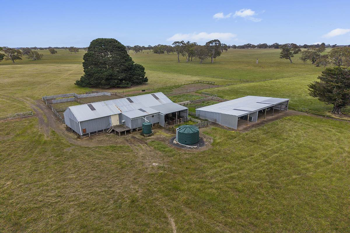 Cattle Property For Sale VIC