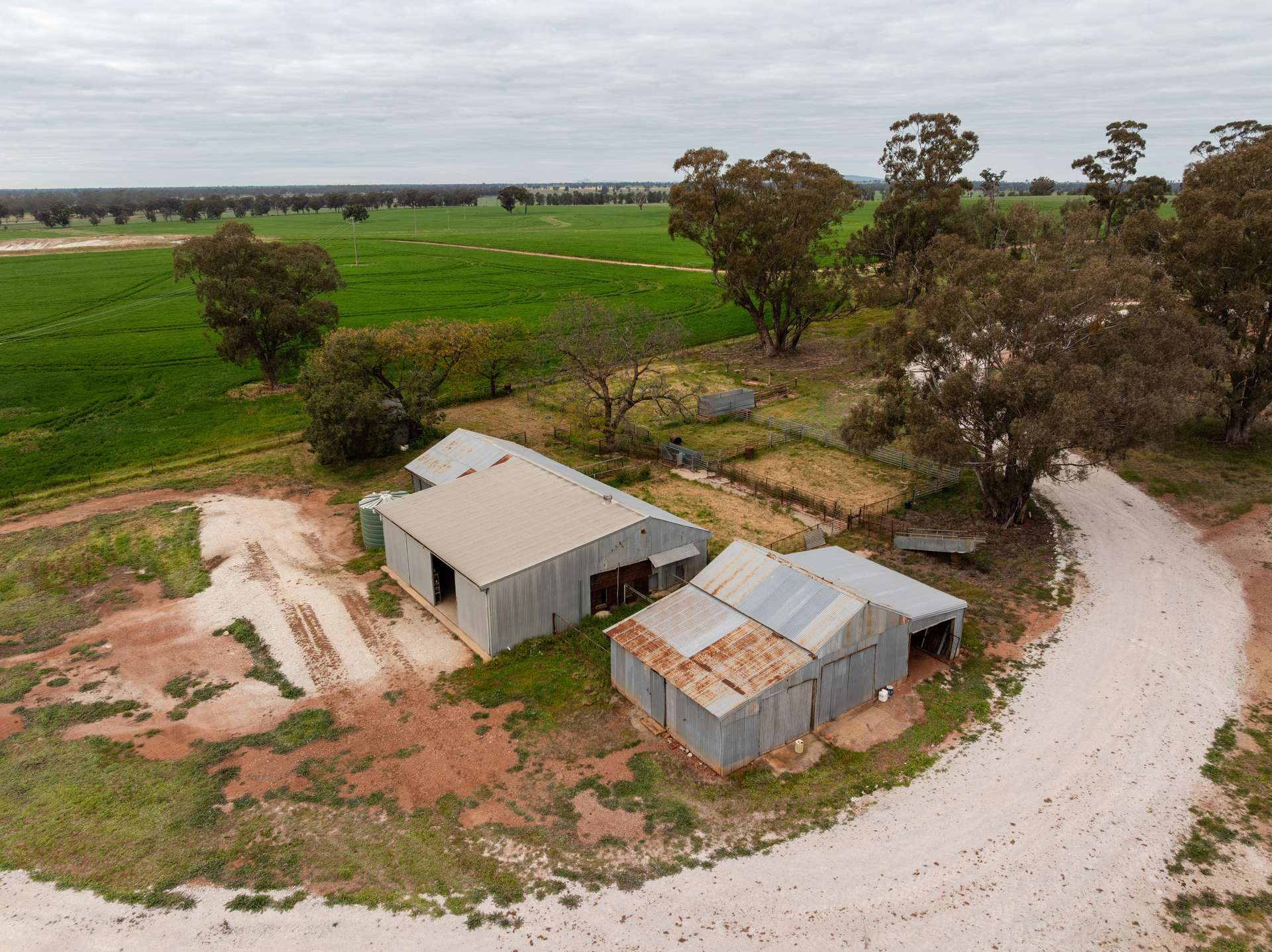 Mixed Farm For Sale NSW