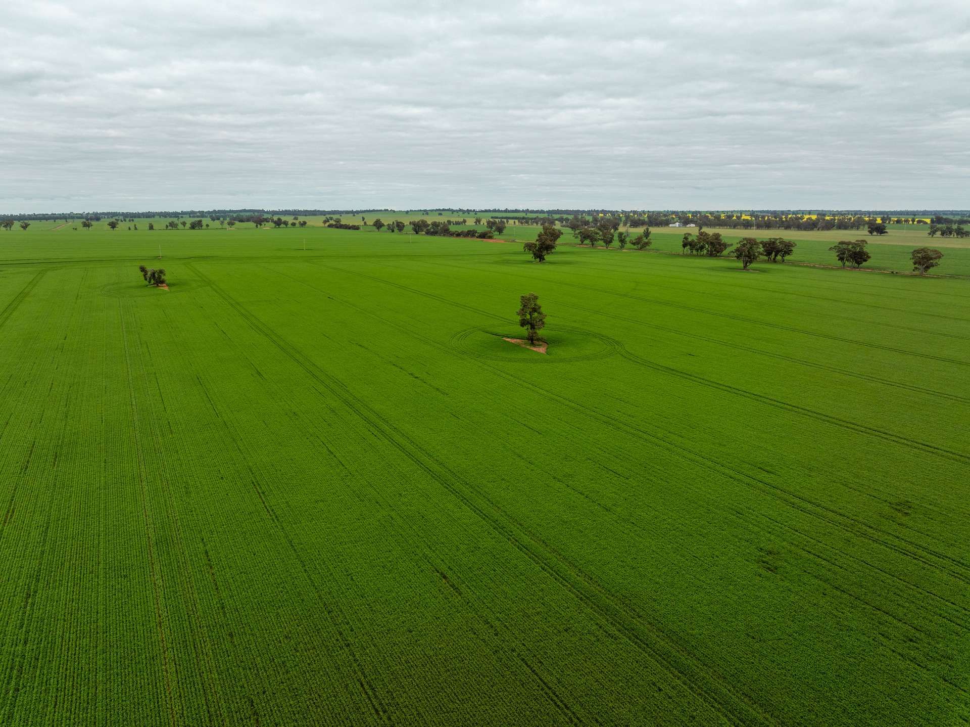 Mixed Farm For Sale NSW