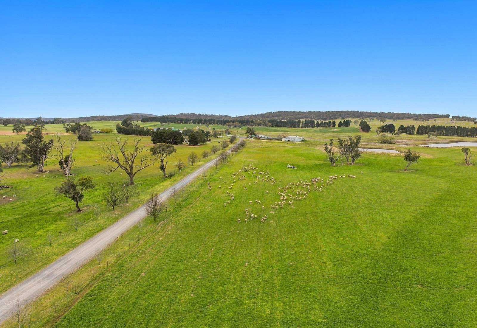 Mixed Farm For Sale NSW