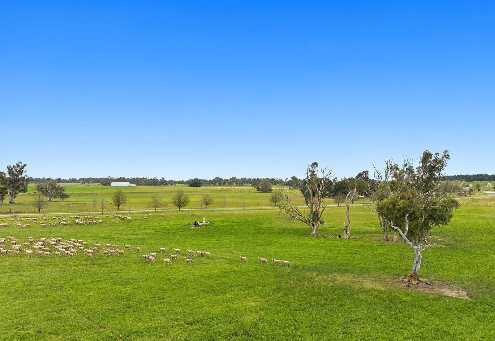 Mixed Farm For Sale NSW