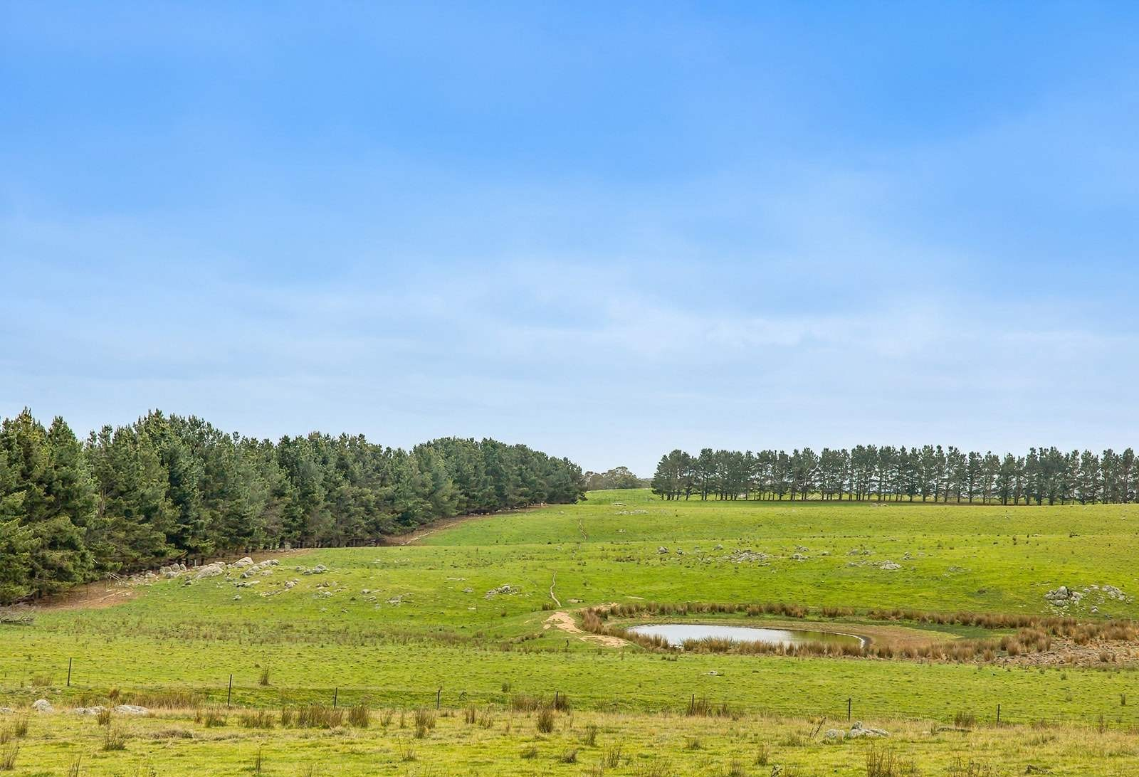Mixed Farm For Sale NSW