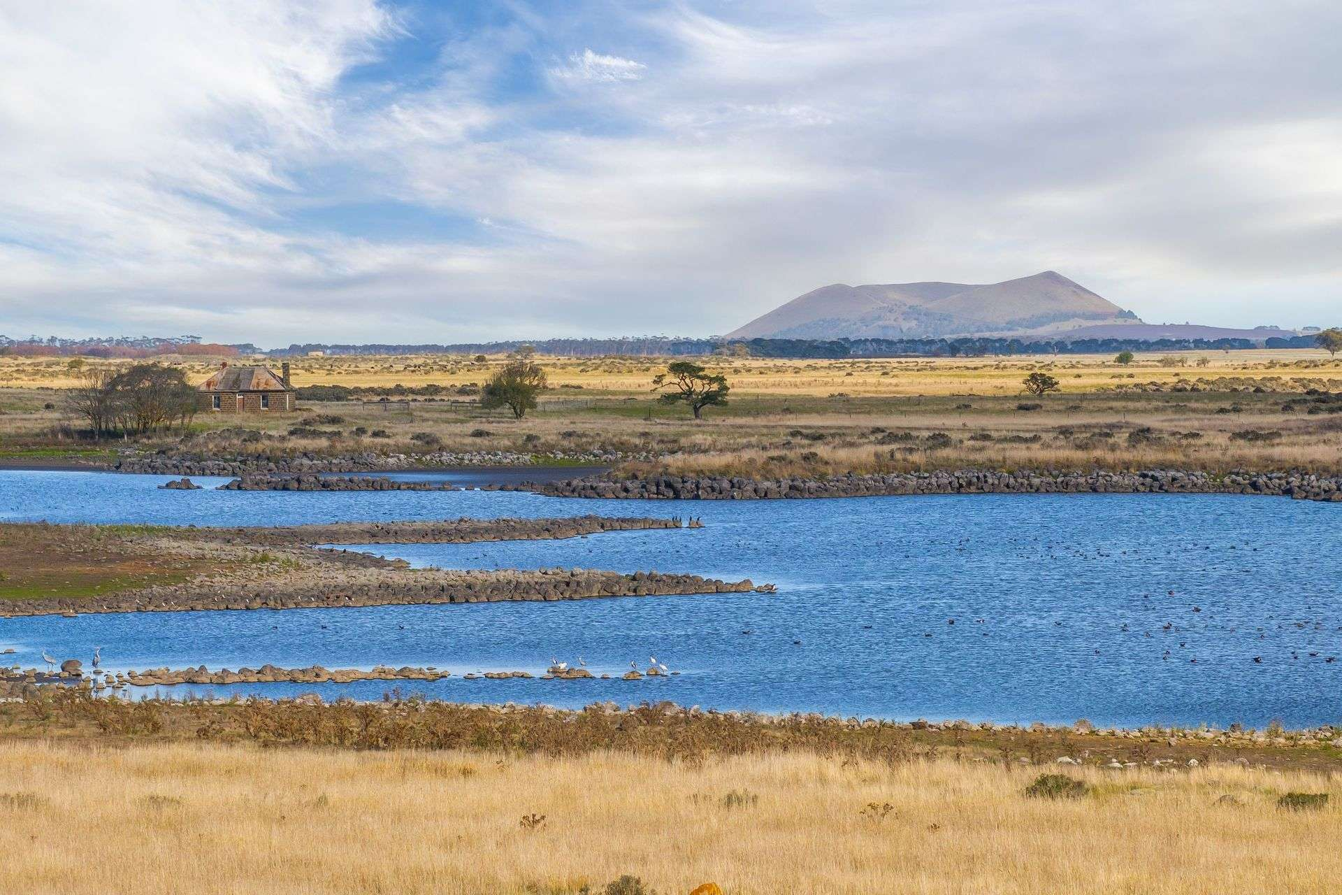 mixed farm for sale VIC