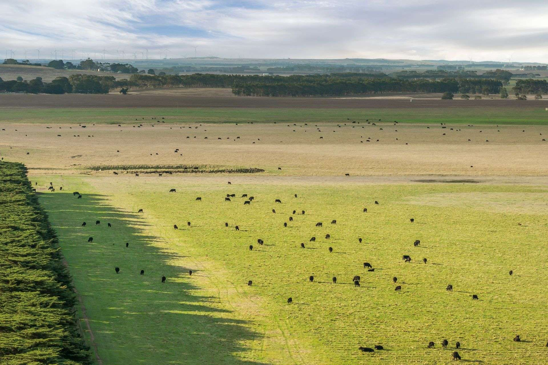 mixed farm for sale VIC