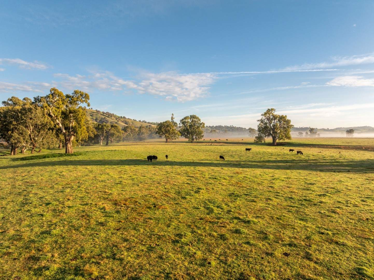 Riverfront Rural Property For Sale NSW