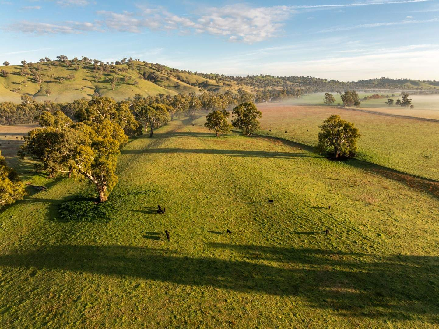 Riverfront Rural Property For Sale NSW