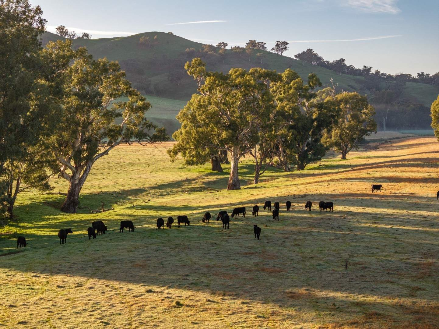 Riverfront Rural Property For Sale NSW
