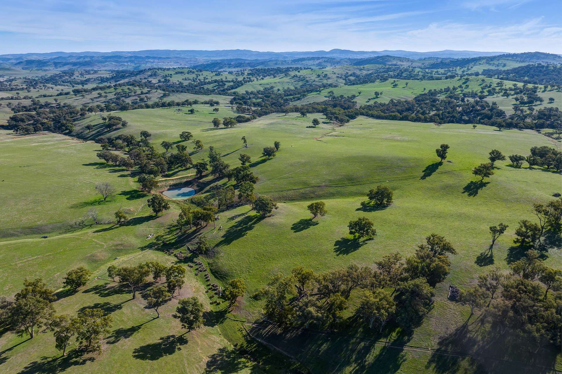 cattle property for sale NSW