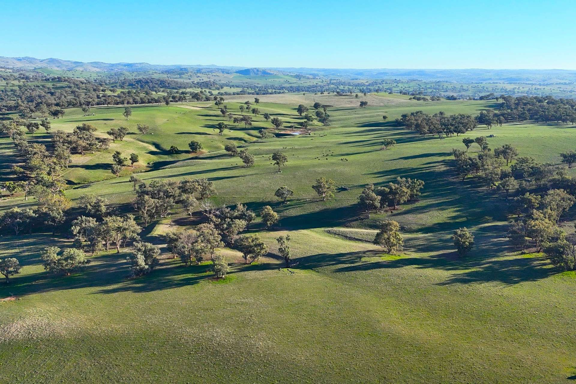 cattle property for sale NSW