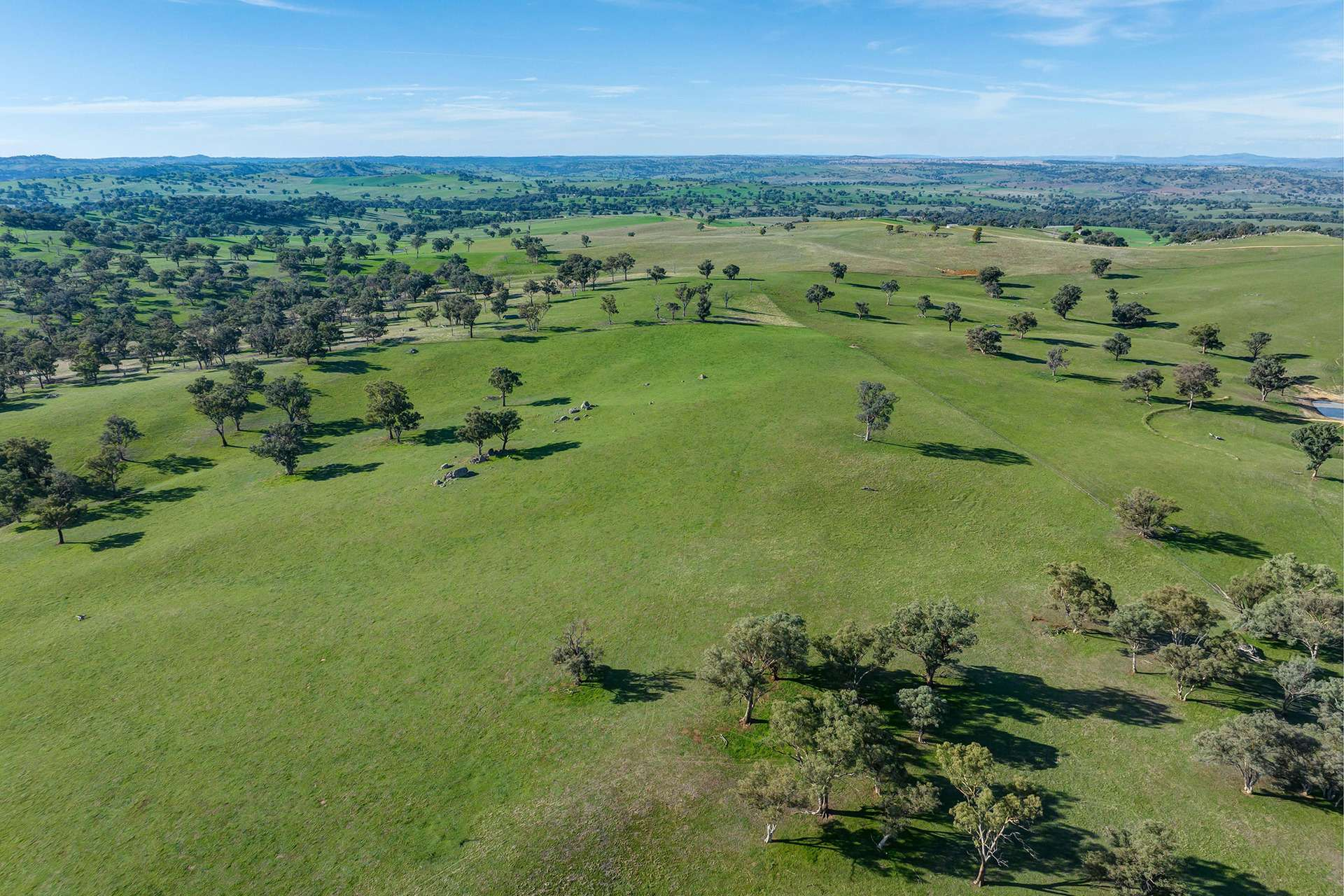 cattle property for sale NSW