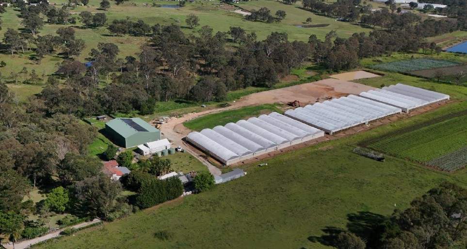 Horticultural Farm For Sale NSW 