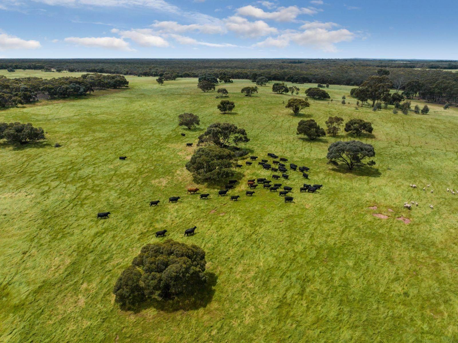 Rural Property For Sale Victoria Bendigo District