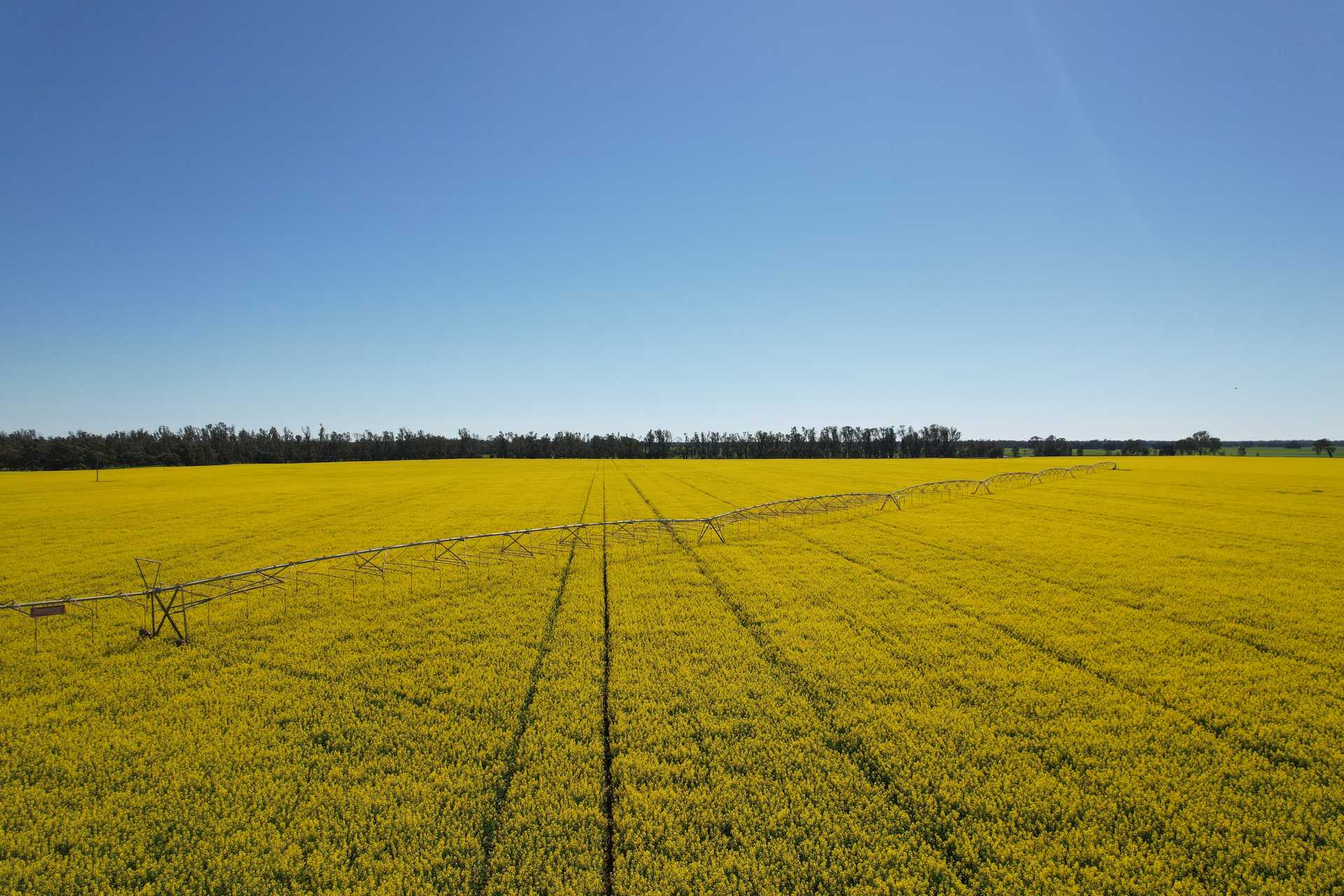 Mixed Farm For Sale