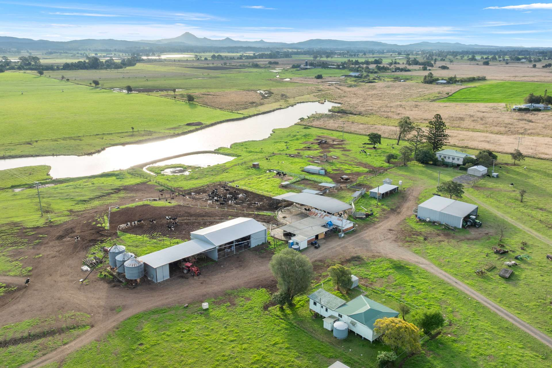 Dairy Farm For Sale QLD