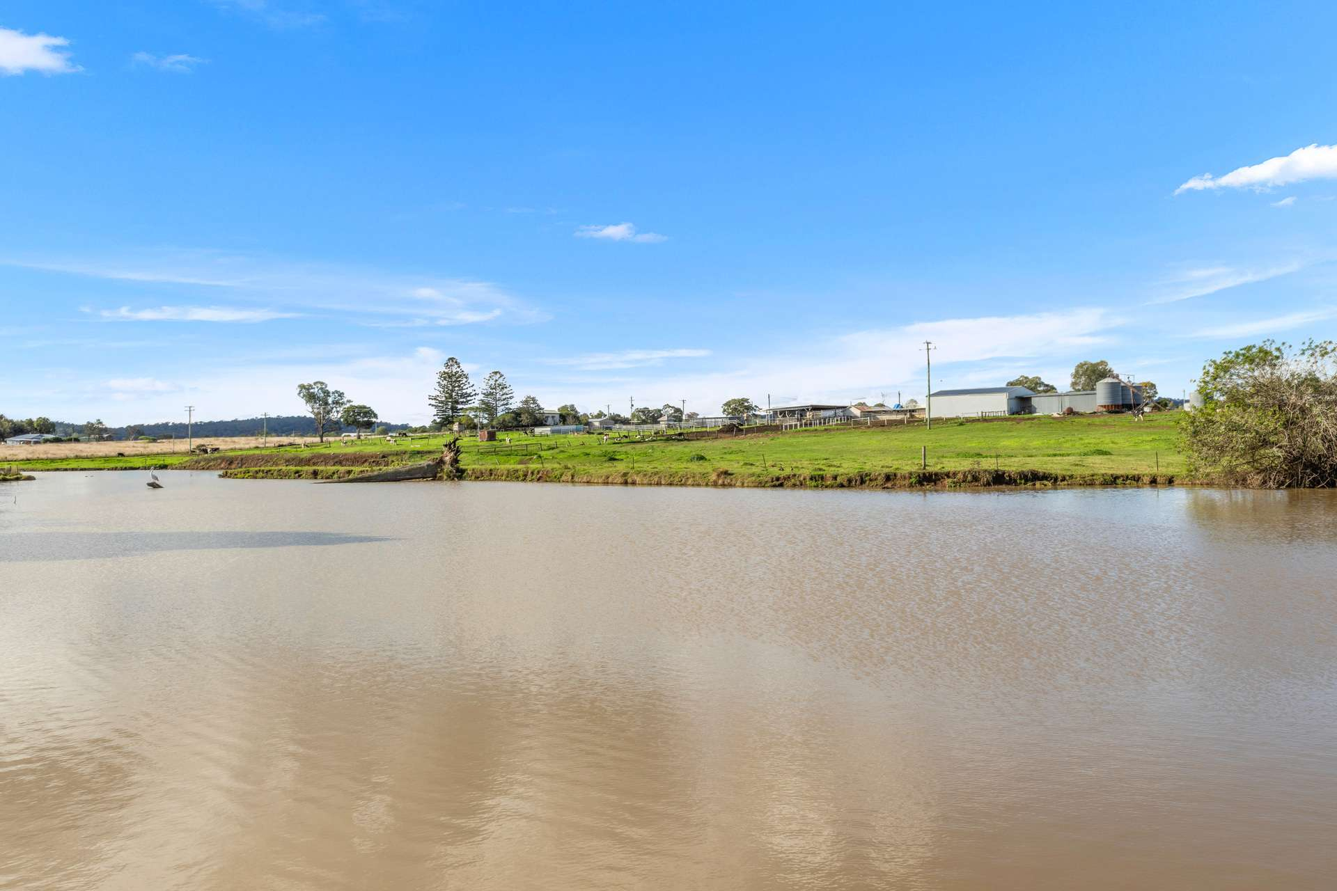 Dairy Farm For Sale QLD