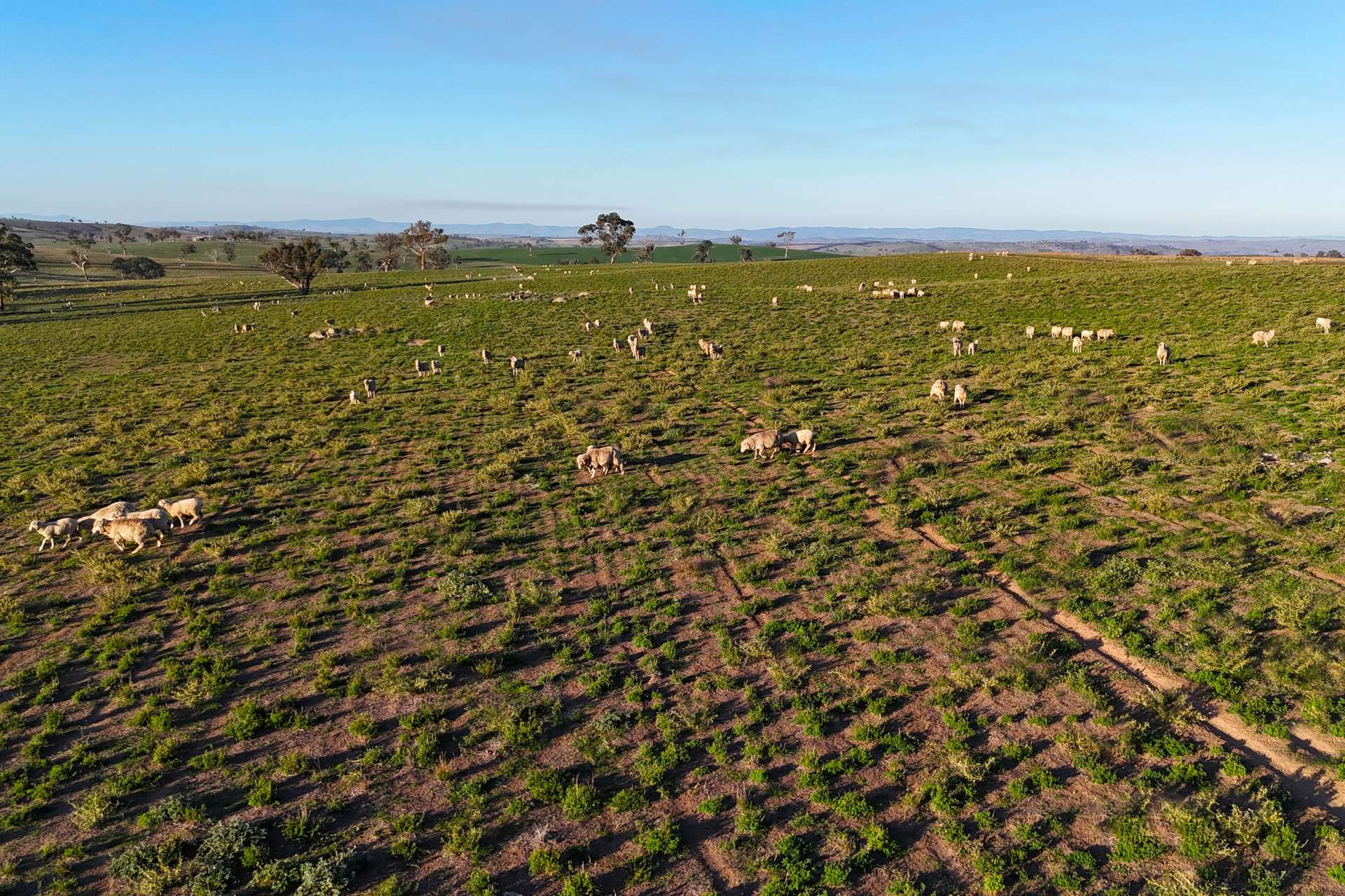 Mixed Farm For Sale NSW