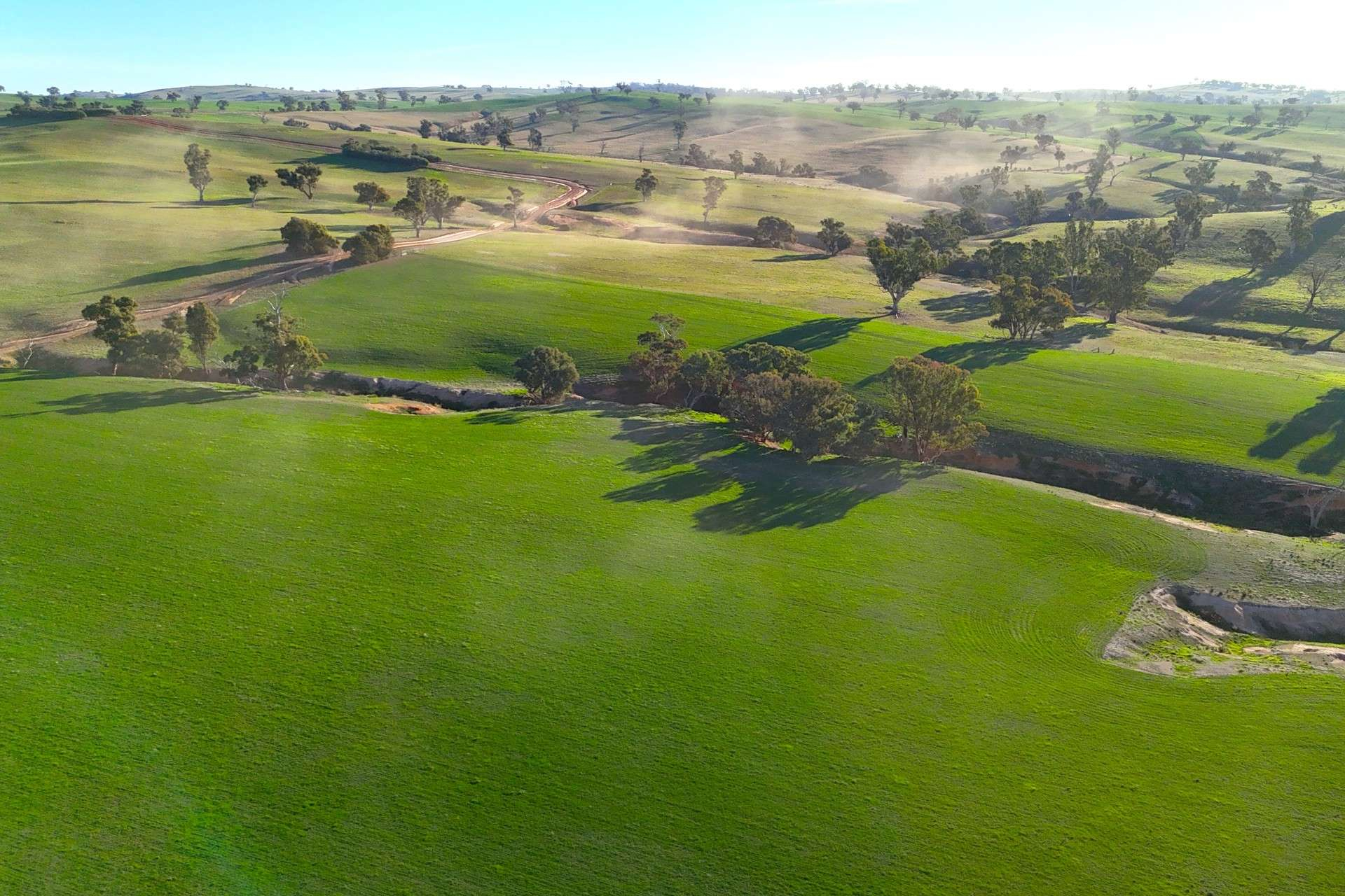 Mixed Farm For Sale NSW