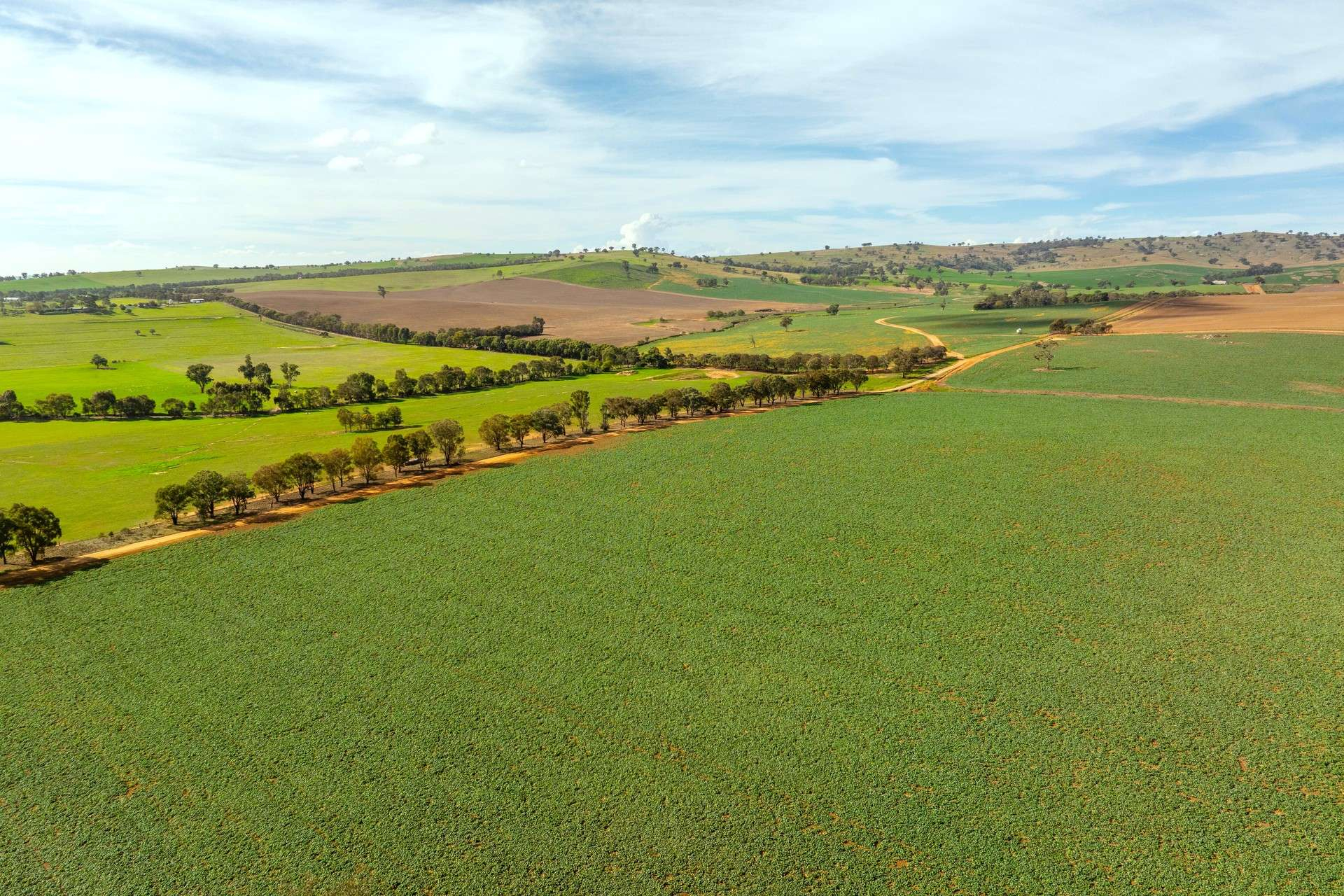 Mixed Farm For Sale NSW