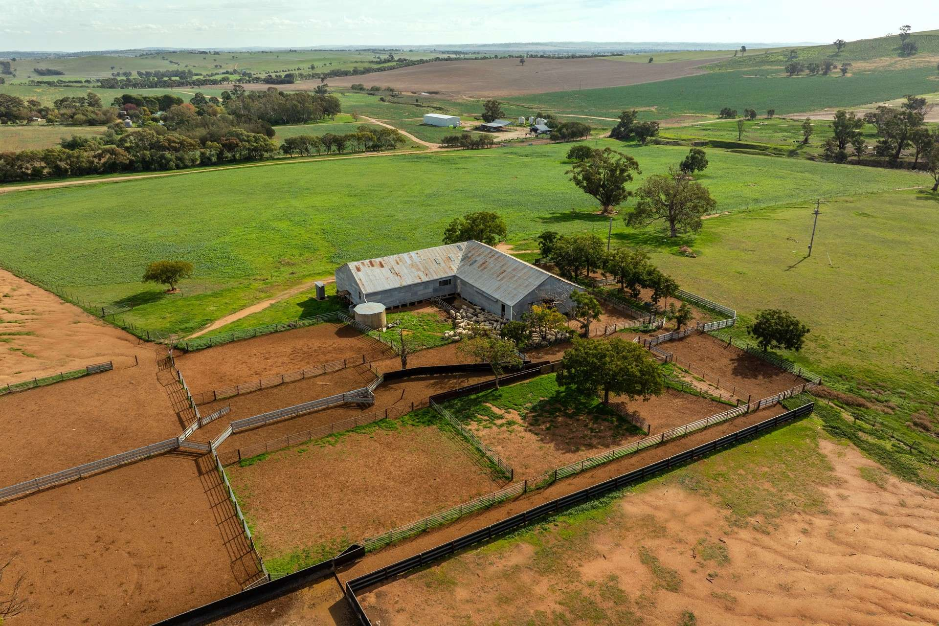 Mixed Farm For Sale NSW
