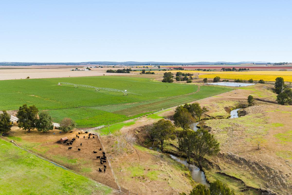 Farm For Sale QLD