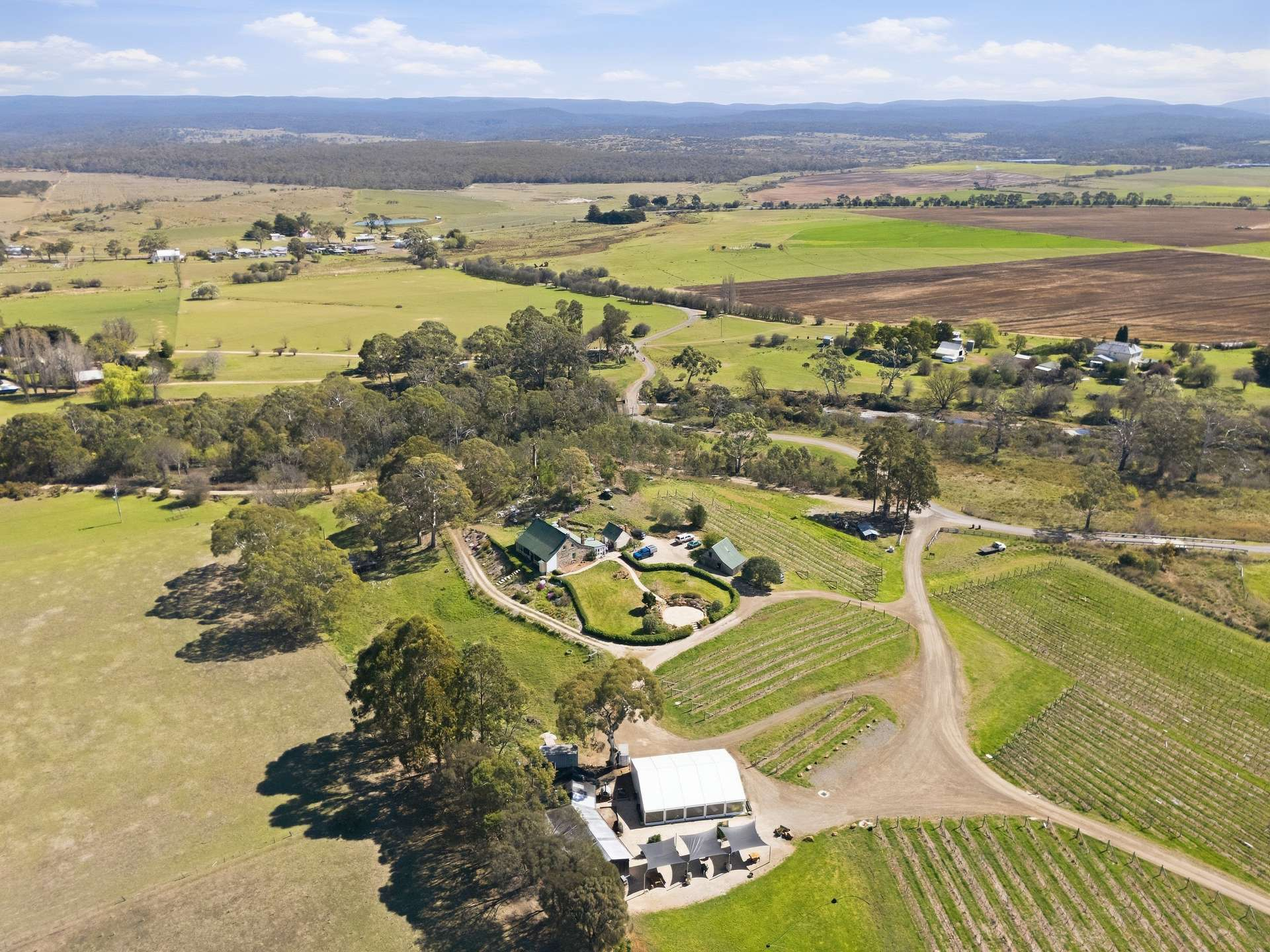 vineyard for sale TAS