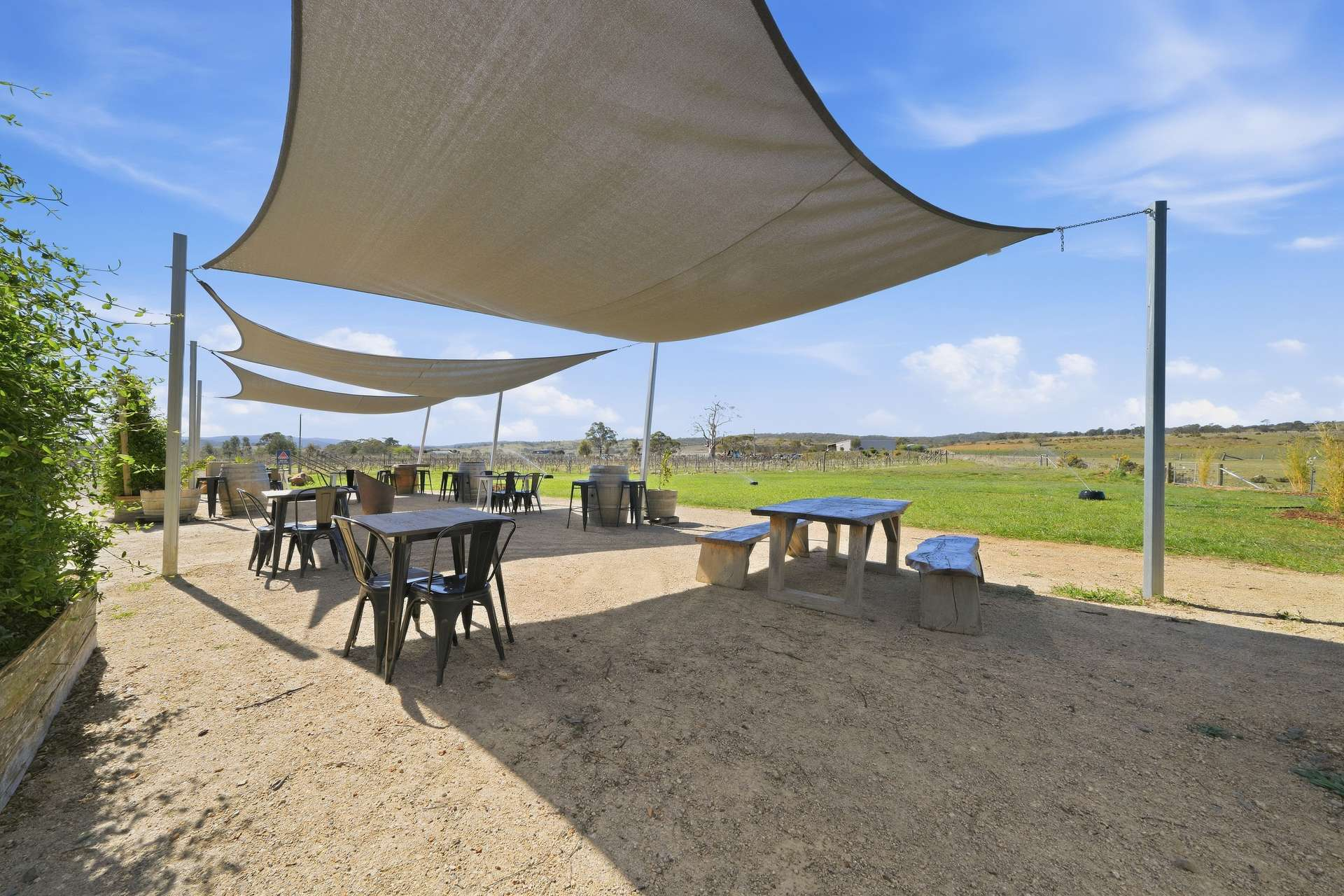 vineyard for sale TAS