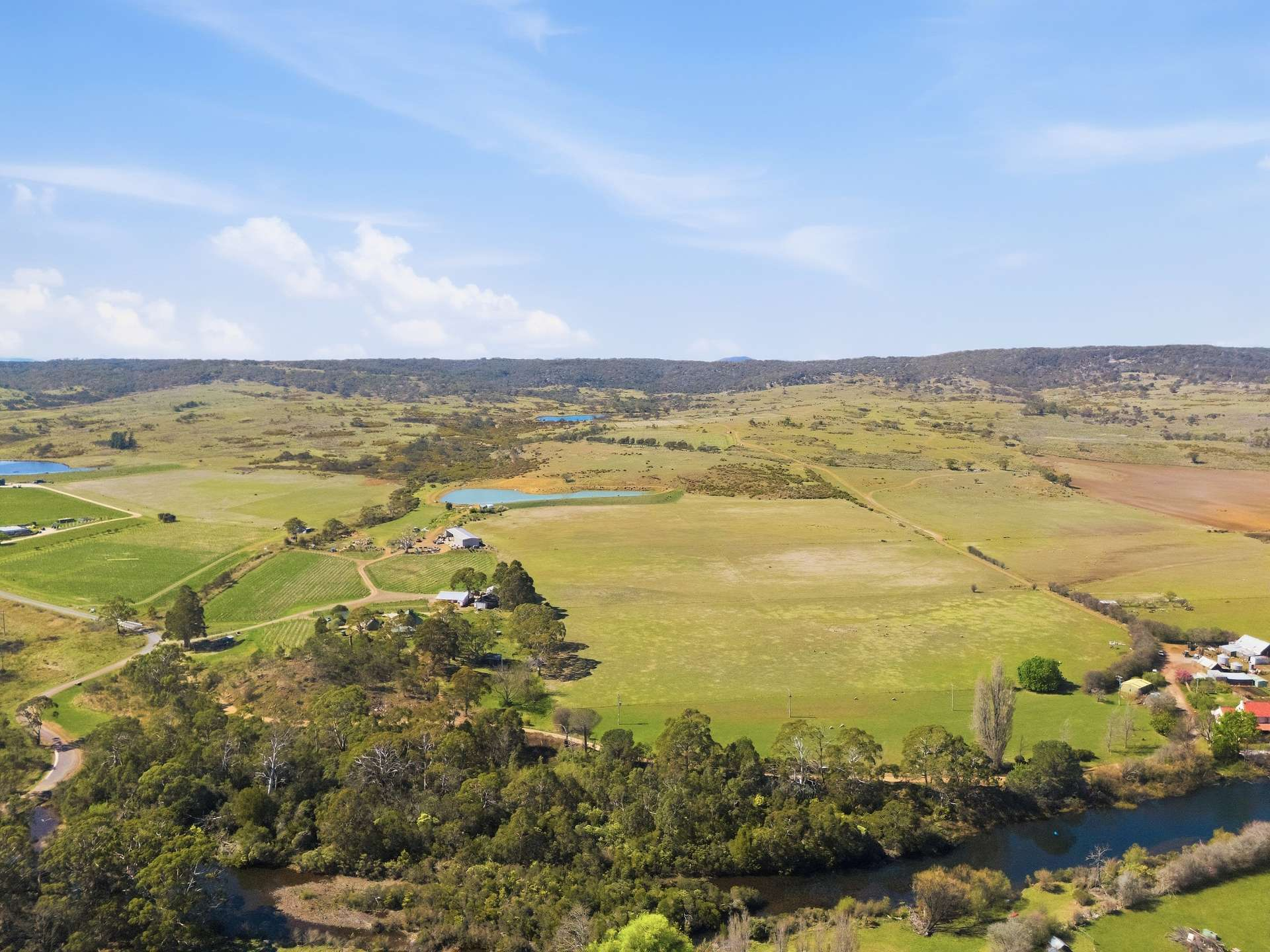vineyard for sale TAS