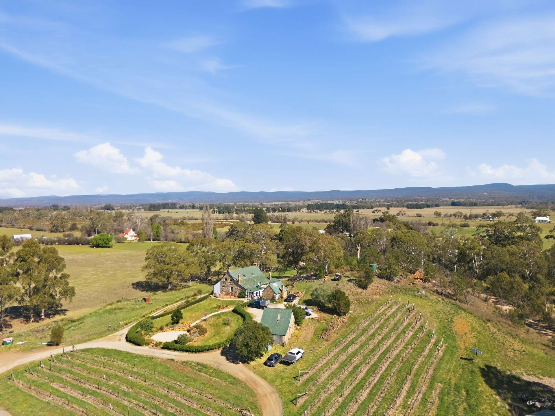 vineyard for sale TAS