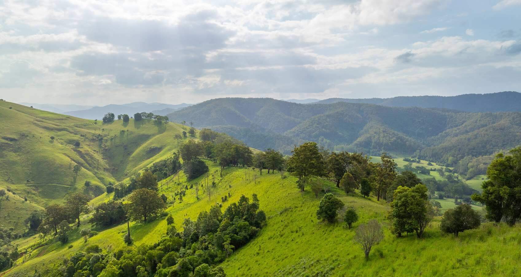 Rural Property For Sale NSW Mid North Coast