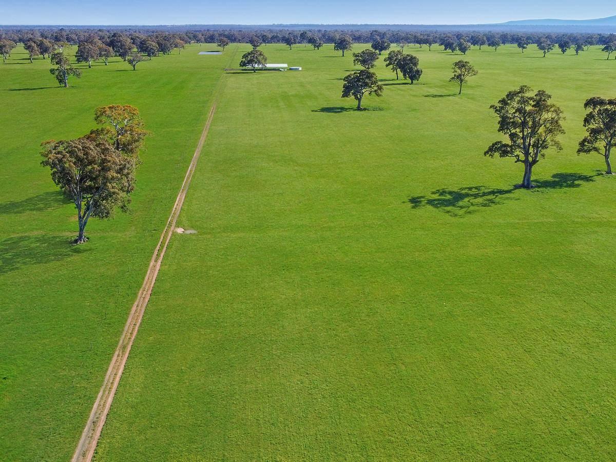 Farm For Sale VIC Western Districts