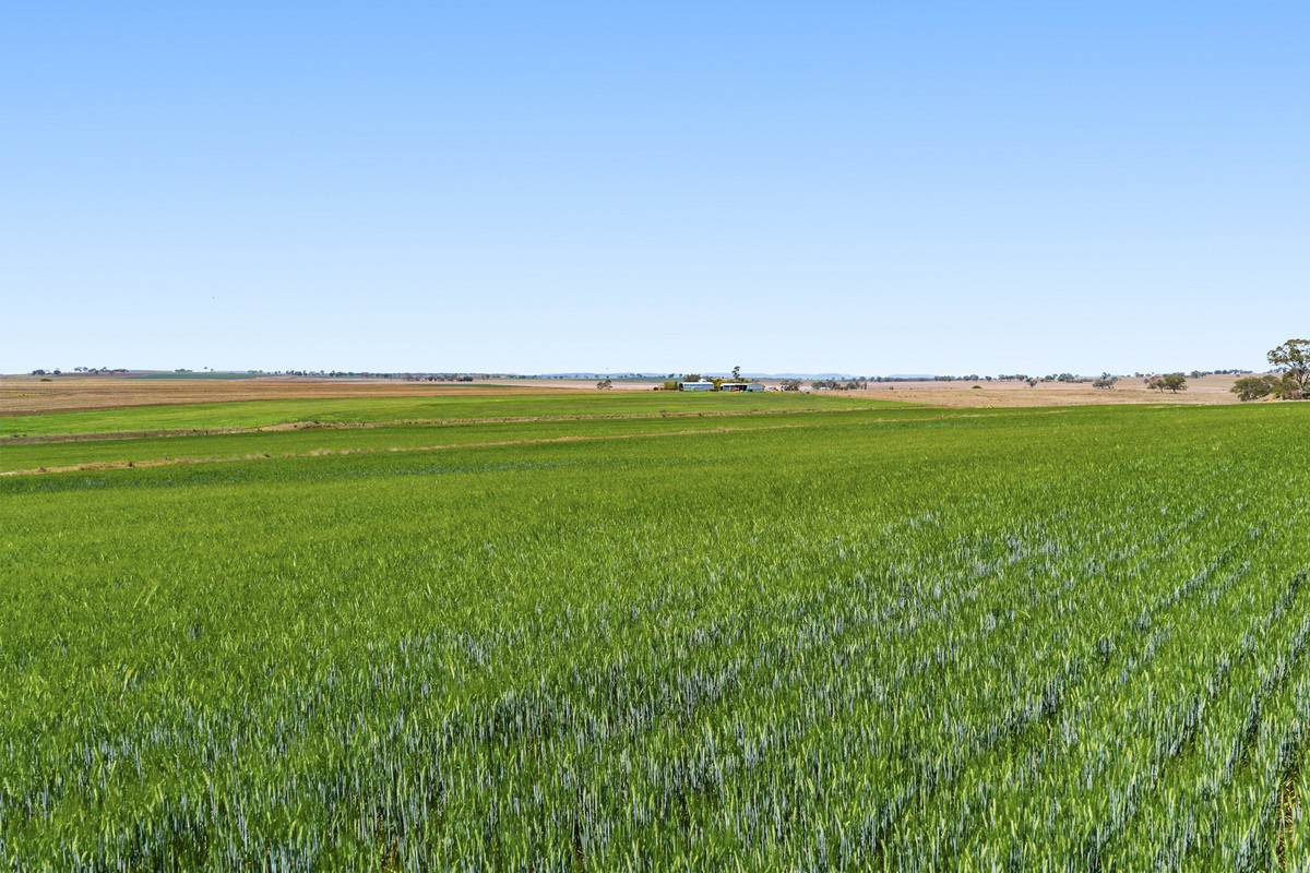 mixed farm for sale QLD