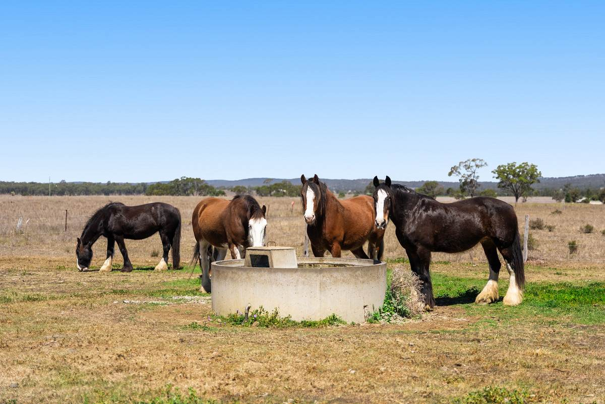 mixed farm for sale QLD
